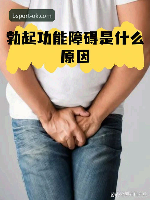 为什么必一b体育无法进入？破解登录障碍的三大创新思路与BSport安全入口实测指南